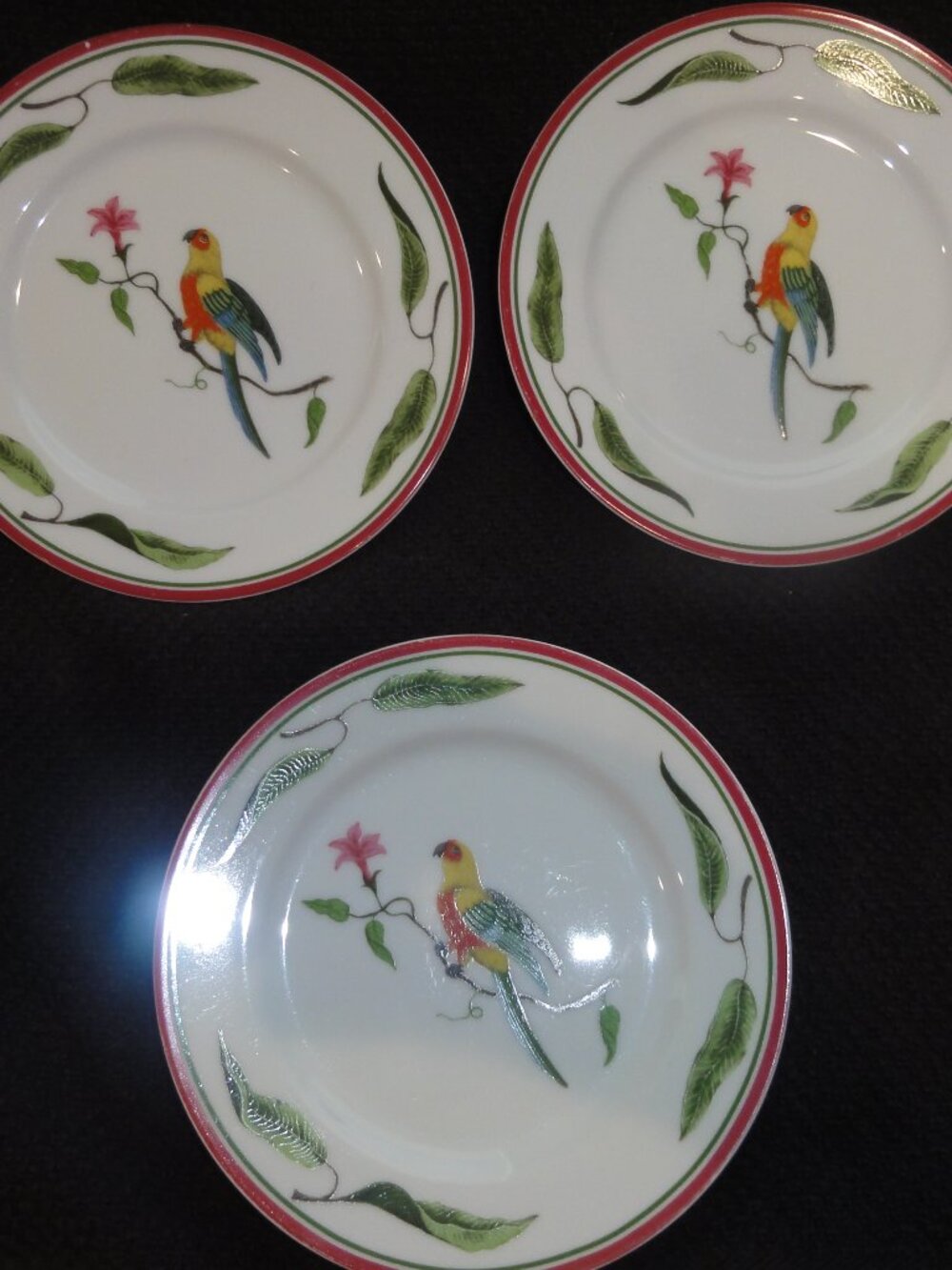Lynn Chase Parrots of Paradise 6.5" Plates VERY GOOD CONDITION!